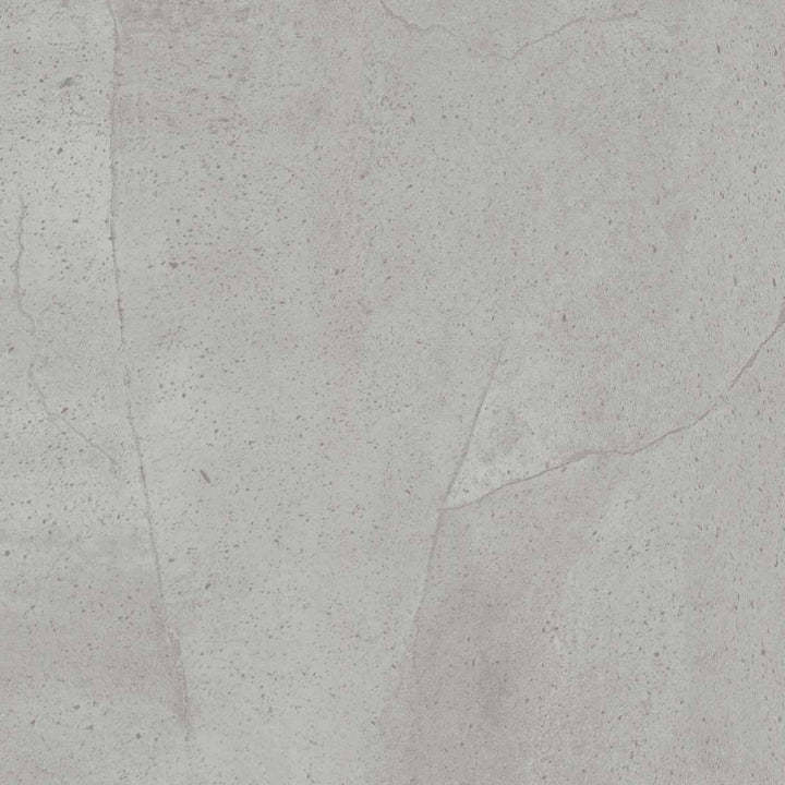 Vinyle collé dante pro 2.0 drakkar