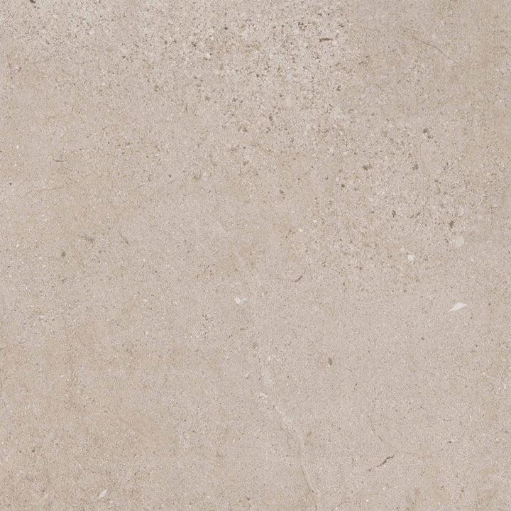 Vinyle collé dante pro 2.0 natura