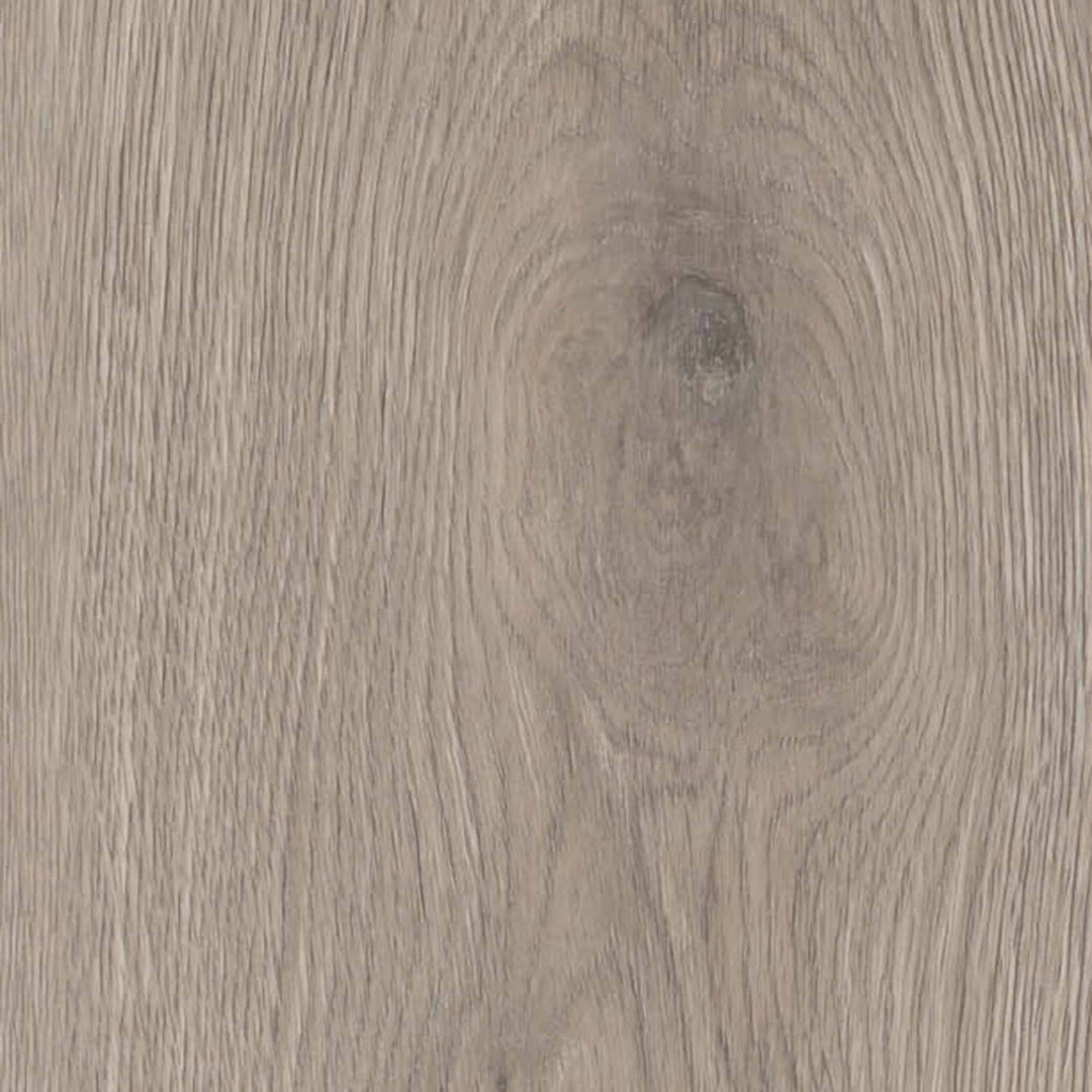Vinyle collé dante pro 2.0 oak