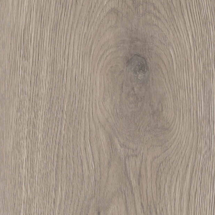 Vinyle collé dante pro 2.0 oak