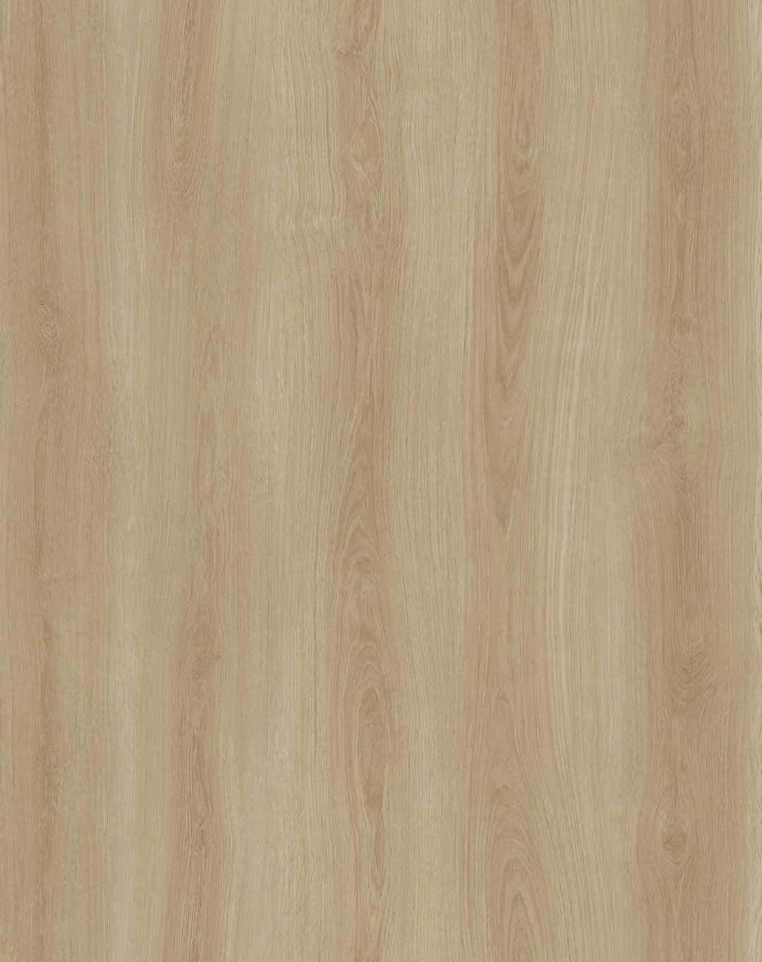 Vinyle collé evolution purflex 2