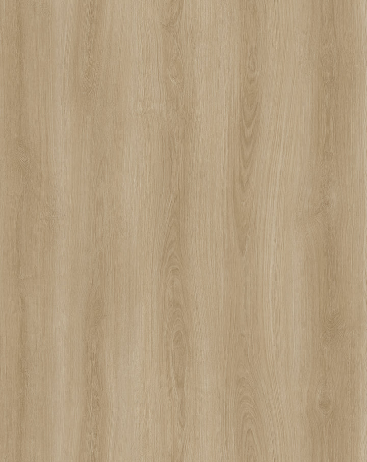 Vinyle collé evolution purflex 2