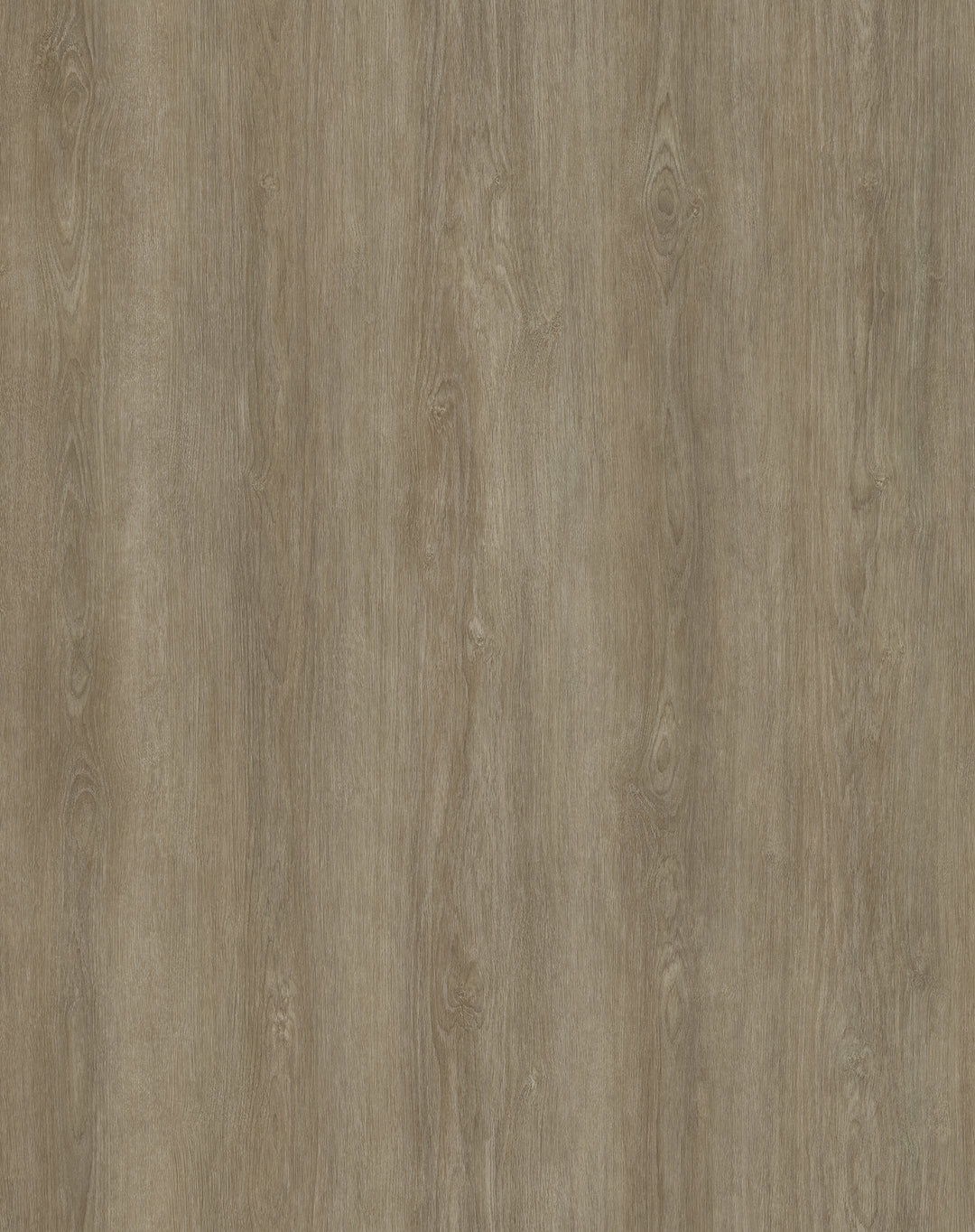 Vinyle collé evolution purflex 2