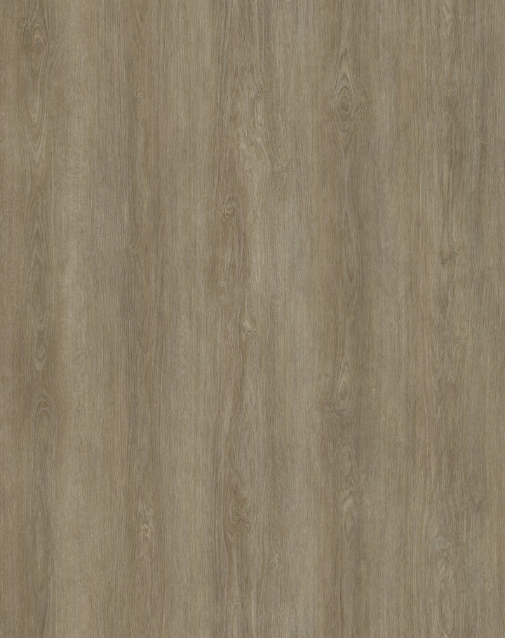 Vinyle collé evolution purflex 2