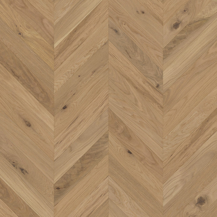 Bois ingénierie mirage chêne blanc muse 3/4''