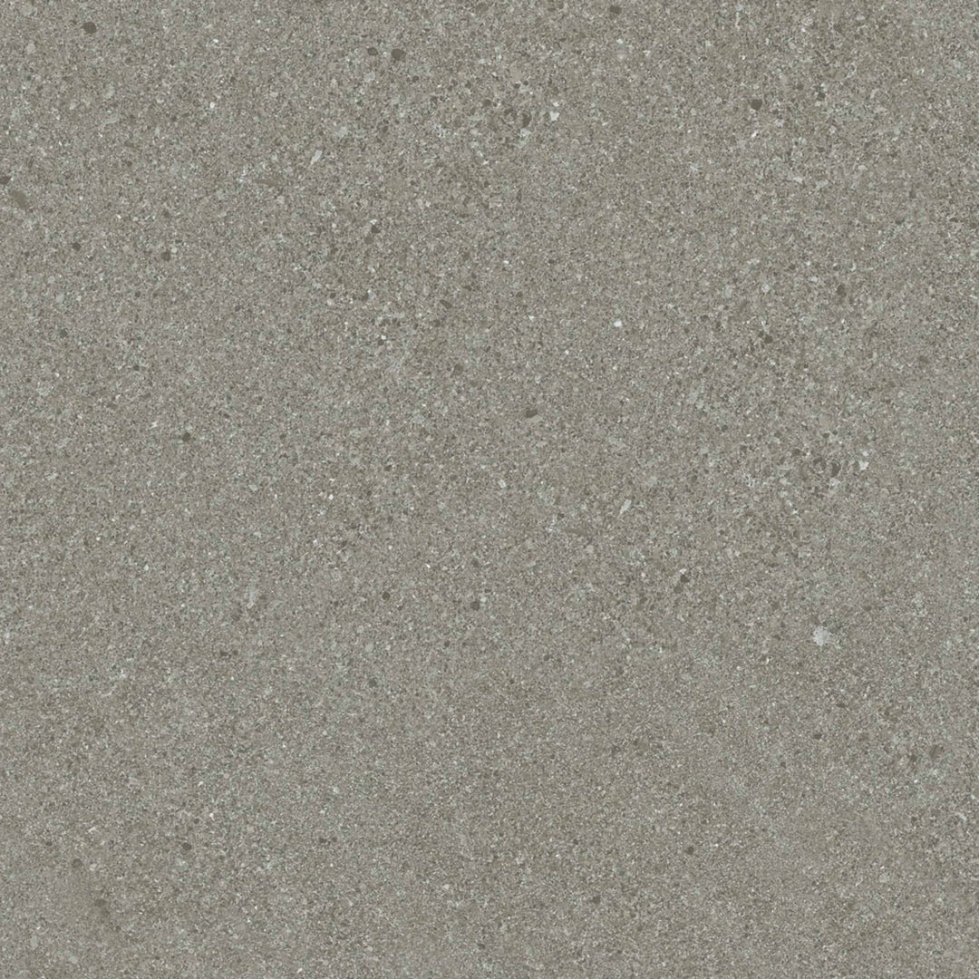 Vinyle collé dante pro 2.0 cemento
