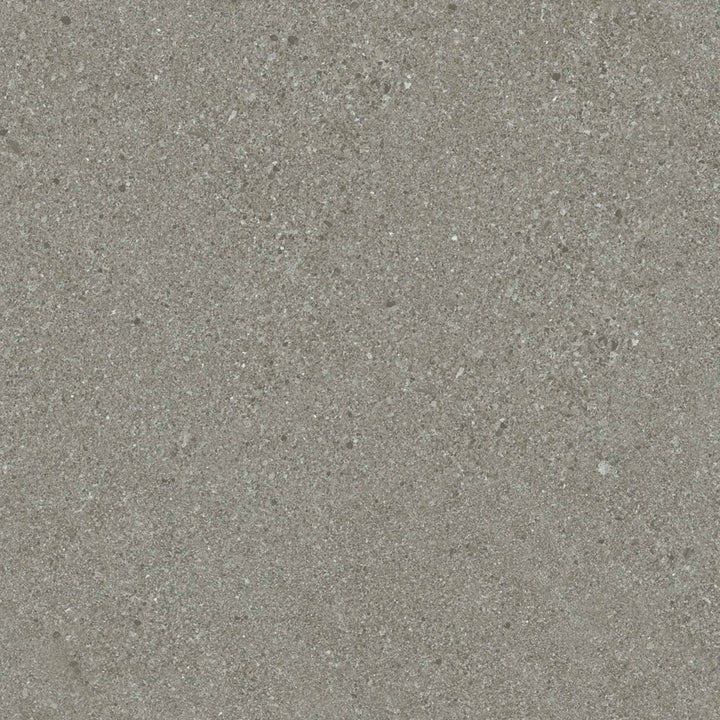 Vinyle collé dante pro 2.0 cemento