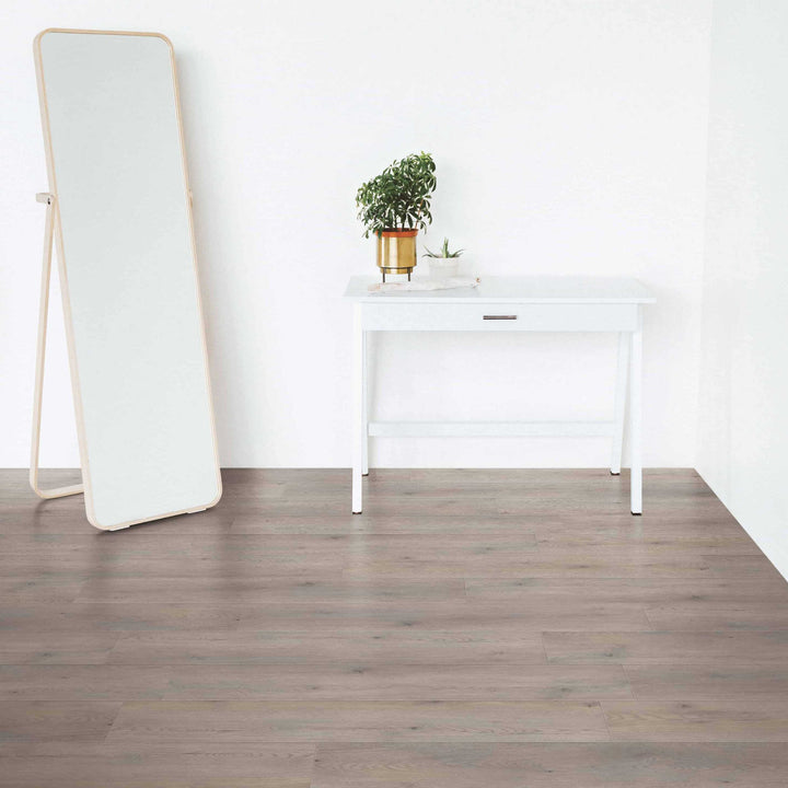 Vinyle collé dante pro 2.0 oak