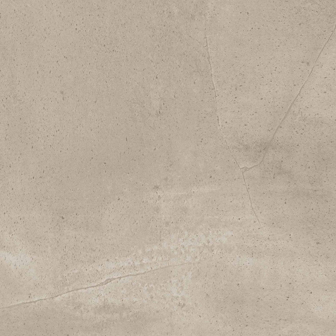 Vinyle collé dante pro 2.0 drakkar