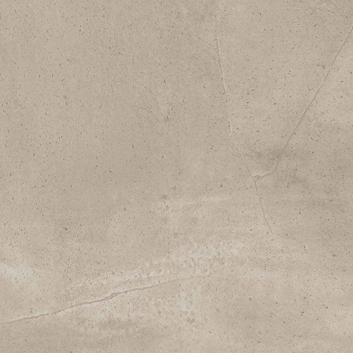 Vinyle collé dante pro 2.0 drakkar