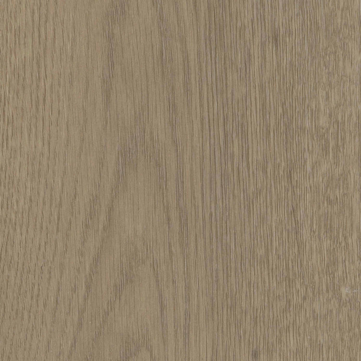 Vinyle collé dante pro 2.0 oak