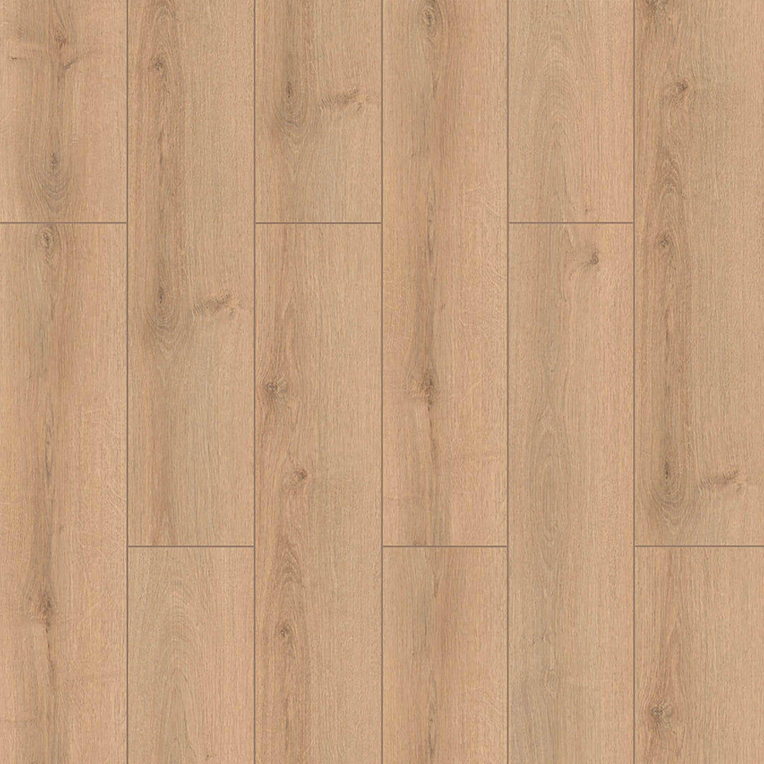 Laminé alpine