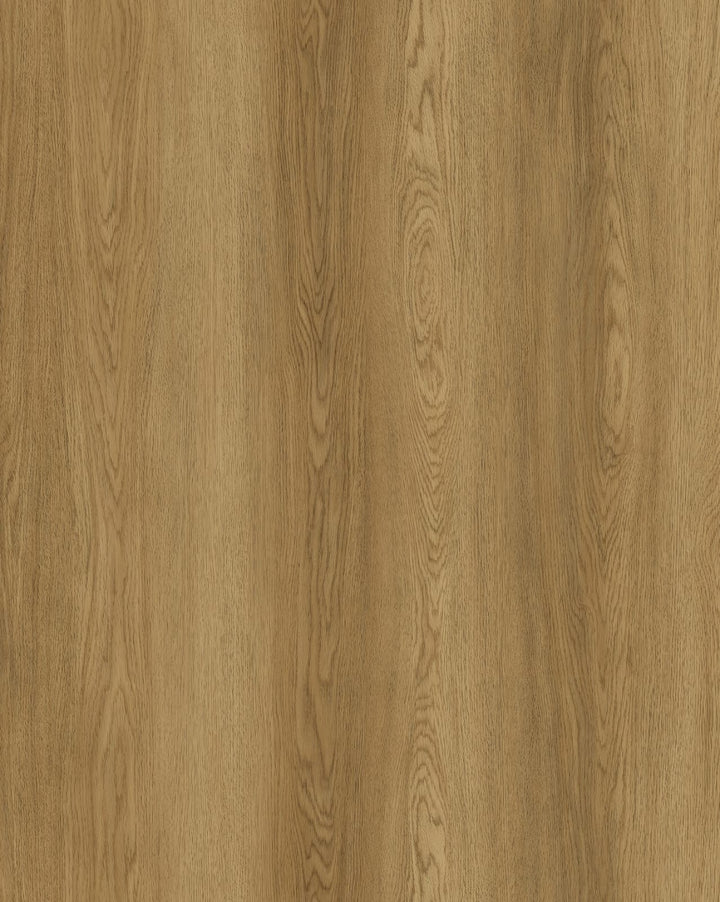 Vinyle collé evolution purflex 2