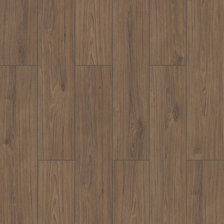 Laminé alpine