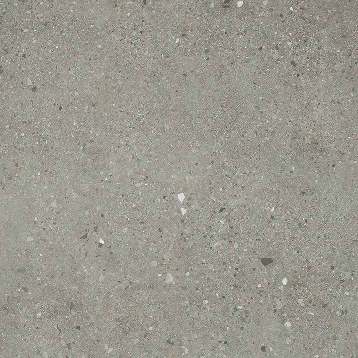 Vinyle collé dante pro 2.0 eclipse