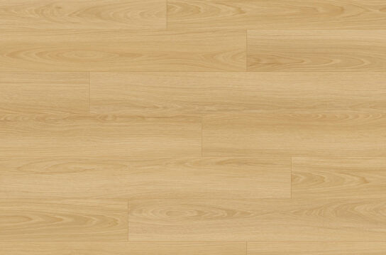 Laminé avenue oak