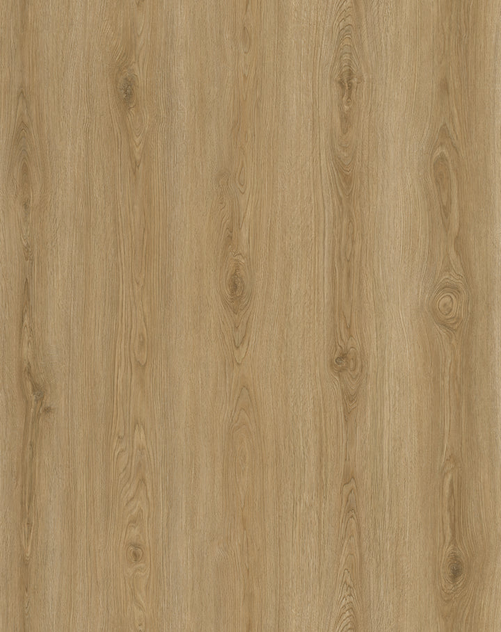 Vinyle collé evolution purflex 2