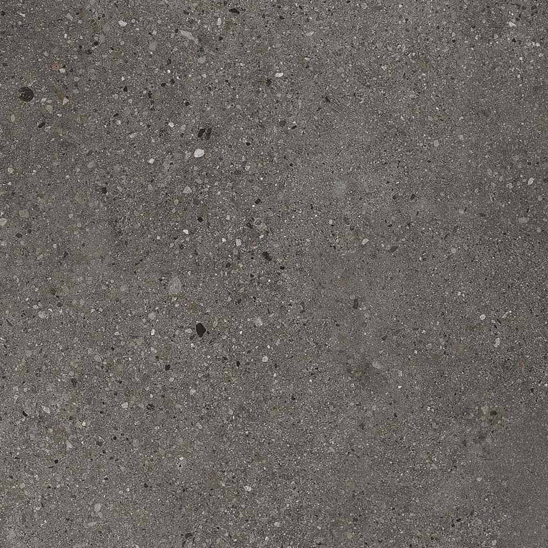 Vinyle collé dante pro 2.0 eclipse