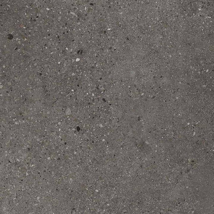 Vinyle collé dante pro 2.0 eclipse